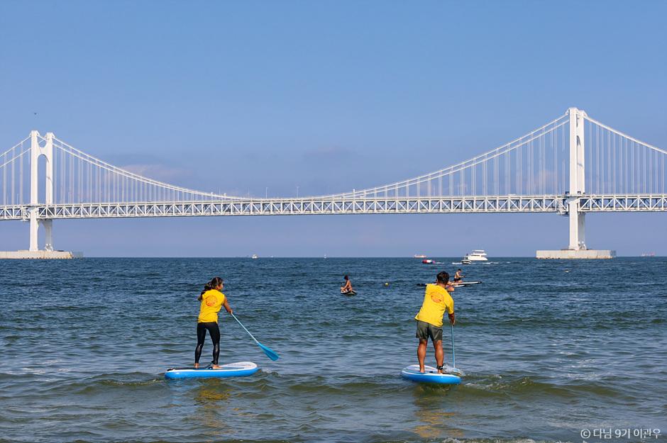 <span>부산</span> 광안리 울산 <span>동구</span> 근처 가볼만한곳 로컬 이색체험 데이트 :: <span>부산</span> 크레이지서퍼스, <span>부산</span> 두두디북스, 요트탈래 울산, 울산도시나무