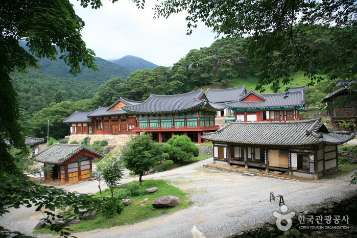 옛스러운 문경의 사찰탐방 여행 여행 가볼만한곳