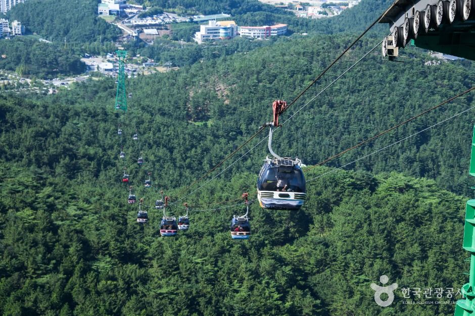 통영케이블카 8