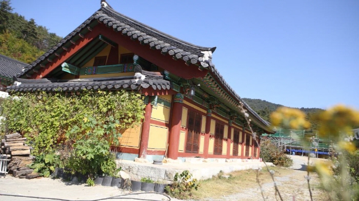 용연사템플스테이 여행 가볼만한곳