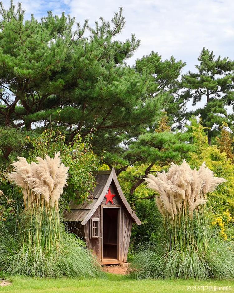 Tall, feathery plumes of pampas grass swaying in the breeze against a clear autumn sky at Cheongsan Arboretum in Taean.
