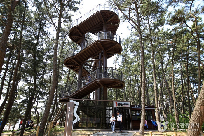 서천 갯벌 매력에 푸욱 여행 가볼만한곳