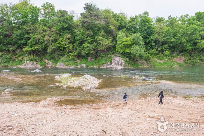 아이들과 놀기 좋은 내촌천