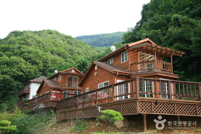 주봉산펜션> 여행지 :대한민국 구석구석 주봉산펜션> 여행지 :대한민국 구석구석 