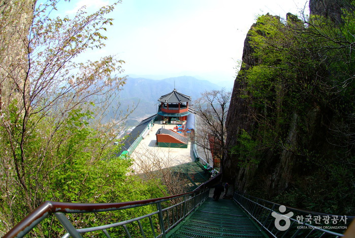 금산의 인삼을 맛보다 여행 가볼만한곳