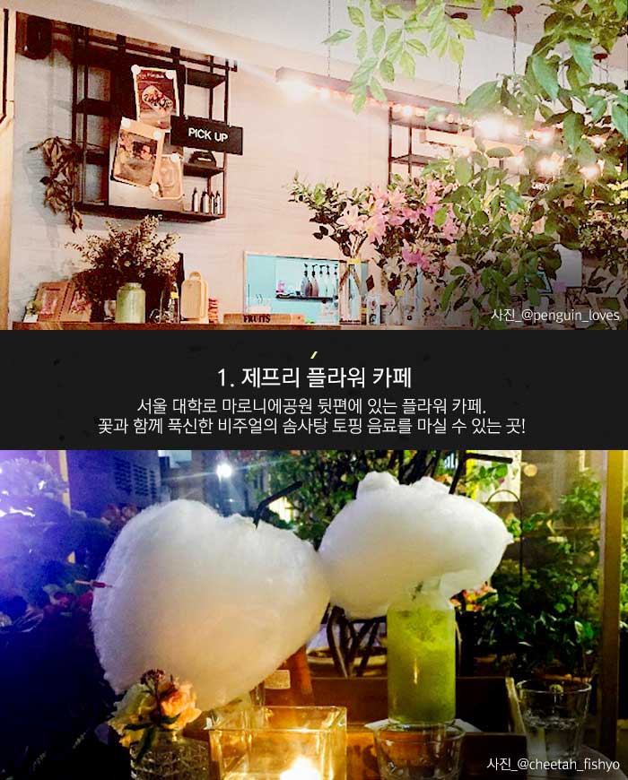 꽃향기 가득한 플라워 카페> 여행기사 :대한민국 구석구석 여심저격 확실하다! 꽃향기 가득한 플라워 카페> 여행기사 :대한민국 구석구석 