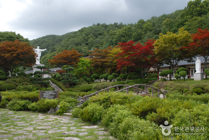 약초의 고장, 제천에서 즐기는 건강여행 여행 가볼만한곳