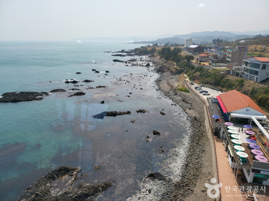 경주 양남 주상절리 전망대 7