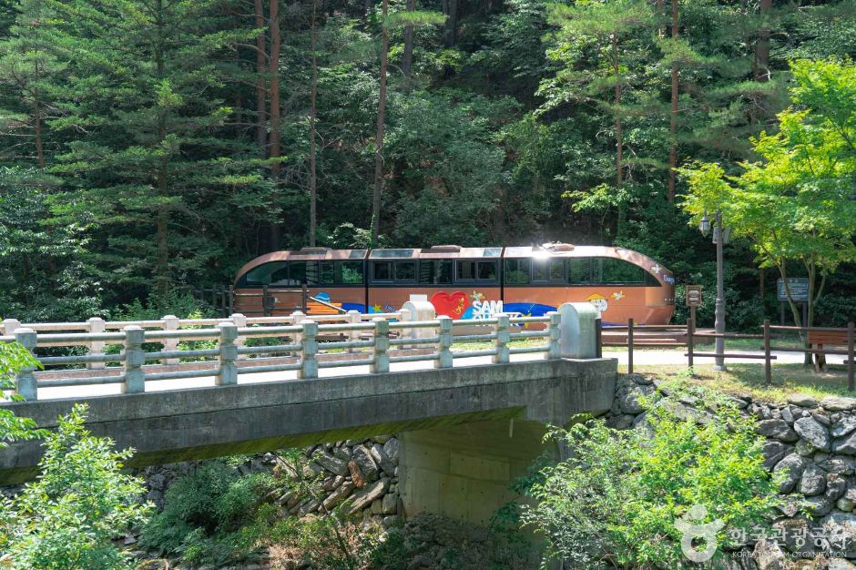 대금굴 (대이리 동굴지대) 8