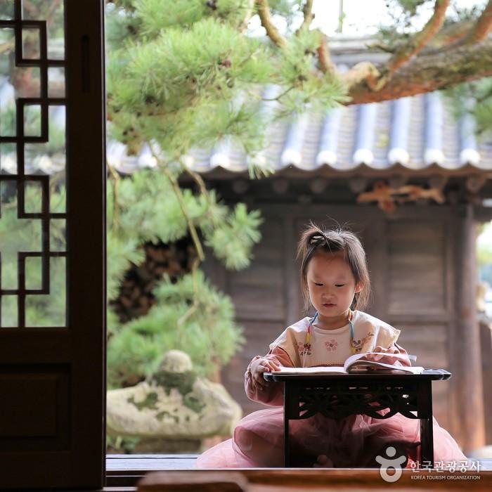 가을의 초록물결, 보성> 여행기사 | 열린 관광 모두의 여행:대한민국 구석구석