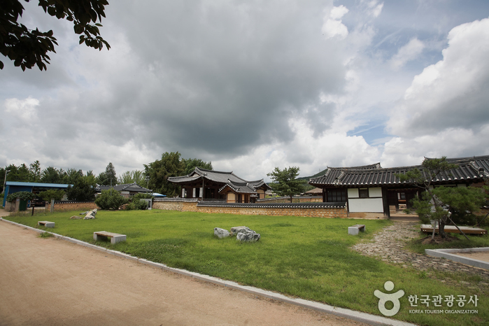 의성의 사과와인을 맛보고 공룡 유적지 탐방 여행 가볼만한곳