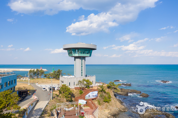 경주 양남 주상절리 전망대 1