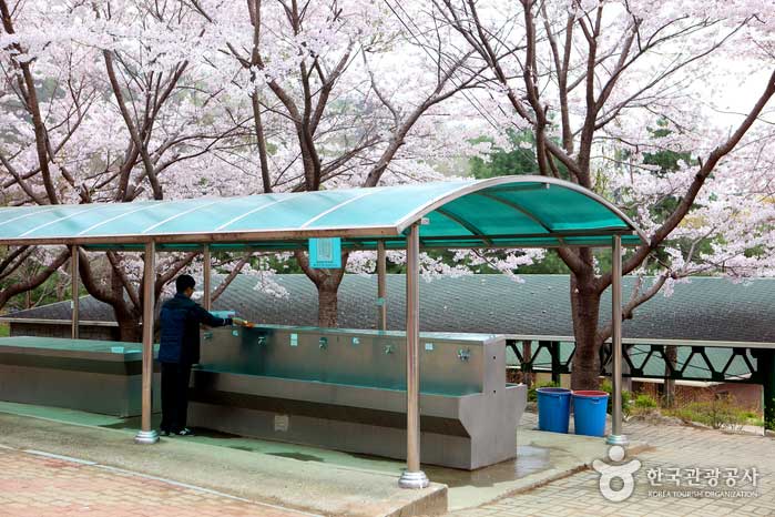꽃비 속에 하룻밤을 청하다, 팔공산 가산산성야영장