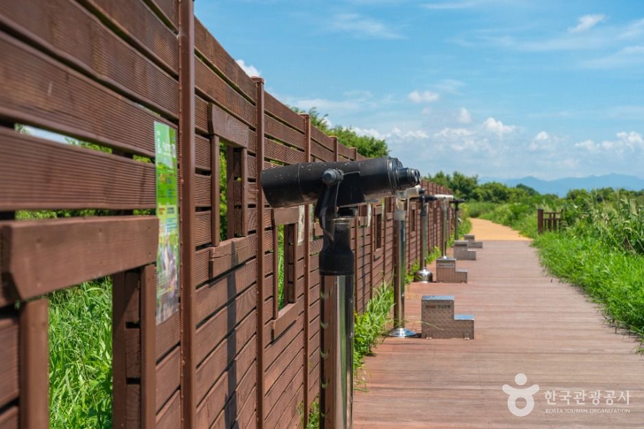 주남저수지 철새도래지 5