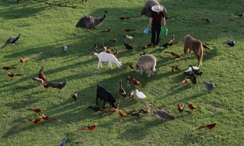 일산 동물의 왕국 여행 가볼만한곳