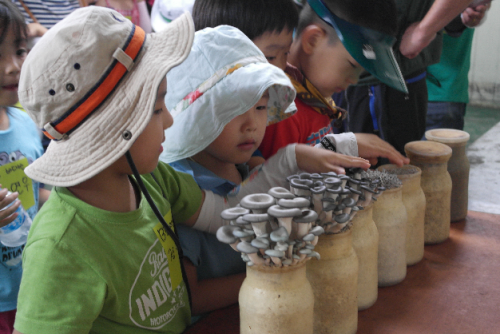 여주 넓은들마을 농촌체험 여행 가볼만한곳