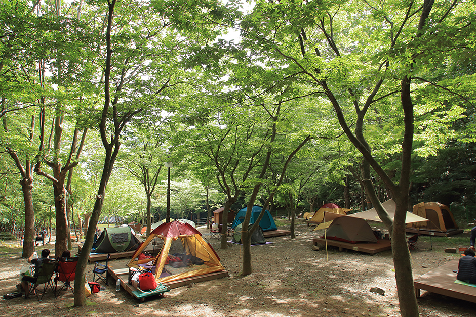 동화야영장 여행 가볼만한곳