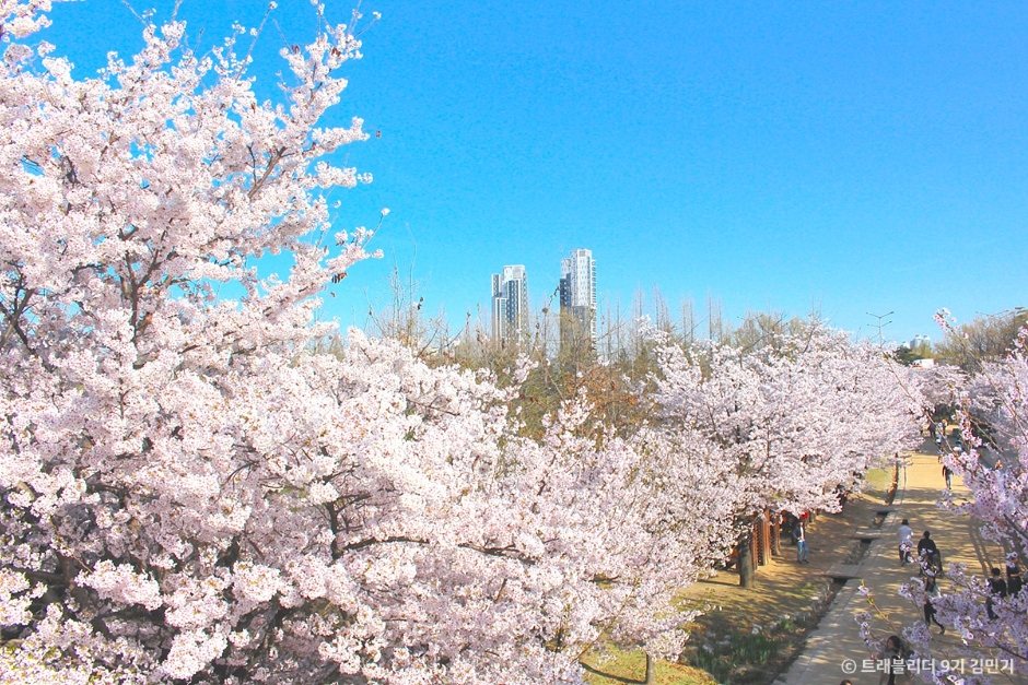 서울숲 7