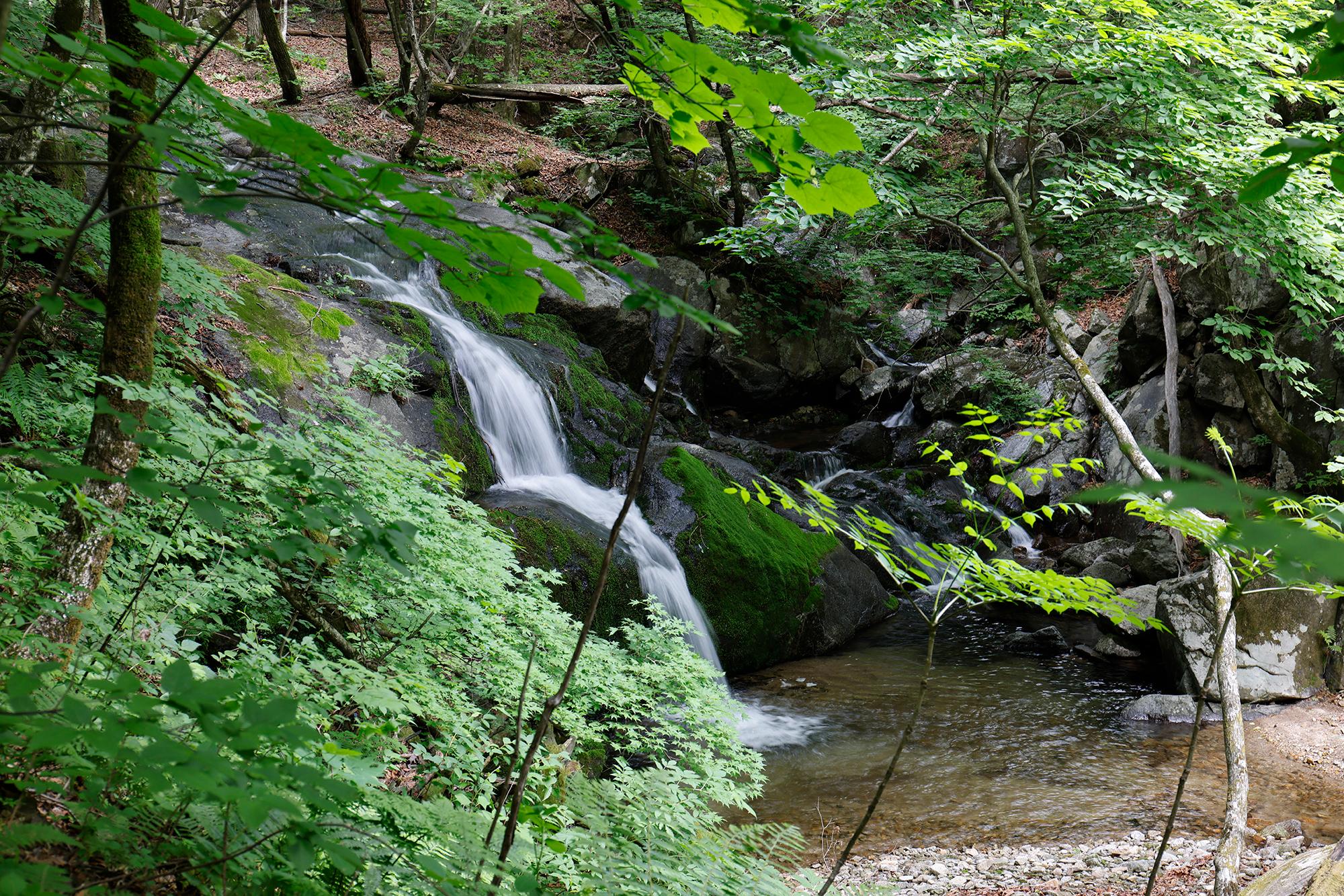 탐방로 중간에 만난 강선계곡의 물줄기