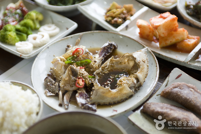 코지하우스 여행 가볼만한곳