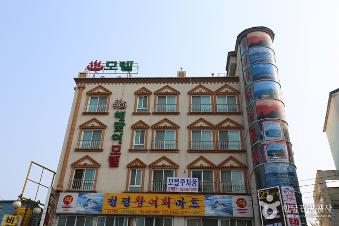해맞이모텔> 여행지 :대한민국 구석구석 해맞이모텔> 여행지 :대한민국 구석구석 