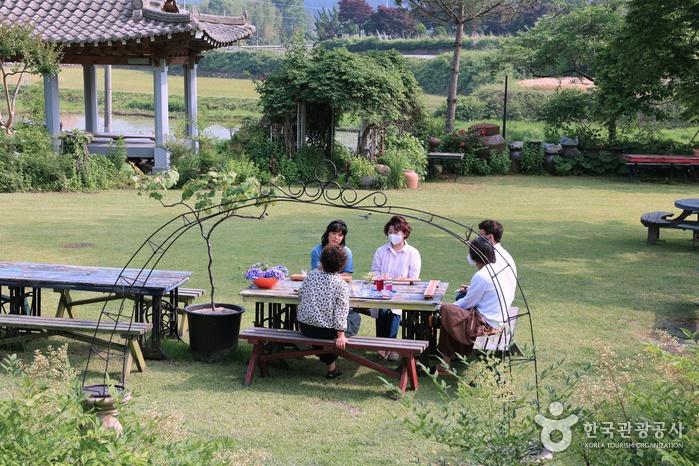 동백꽃, 도라지꽃으로 만든 건강한 생초, 발효담다|관광두레