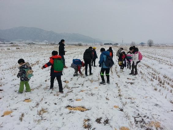 <span>철원</span>, 평화롭게 ‘두루미 자는 버들골’