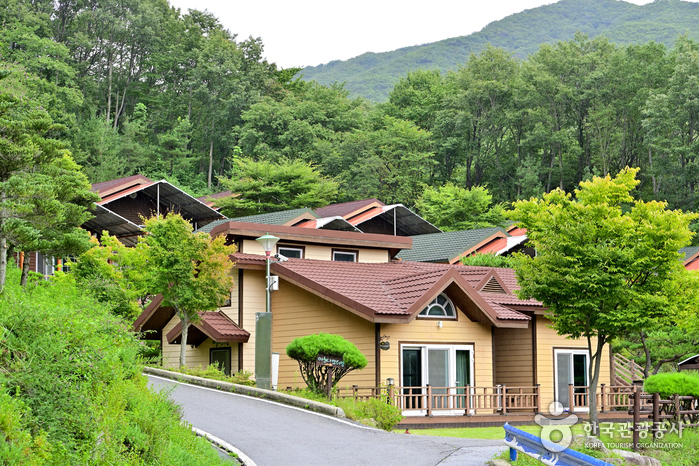숲치유 추천 여행 리스트 : 대한민국 구석구석