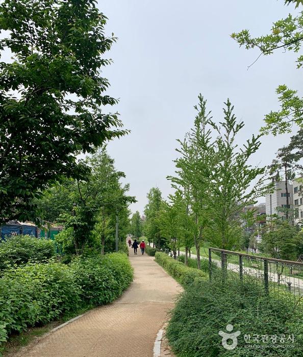 숲길 이미지