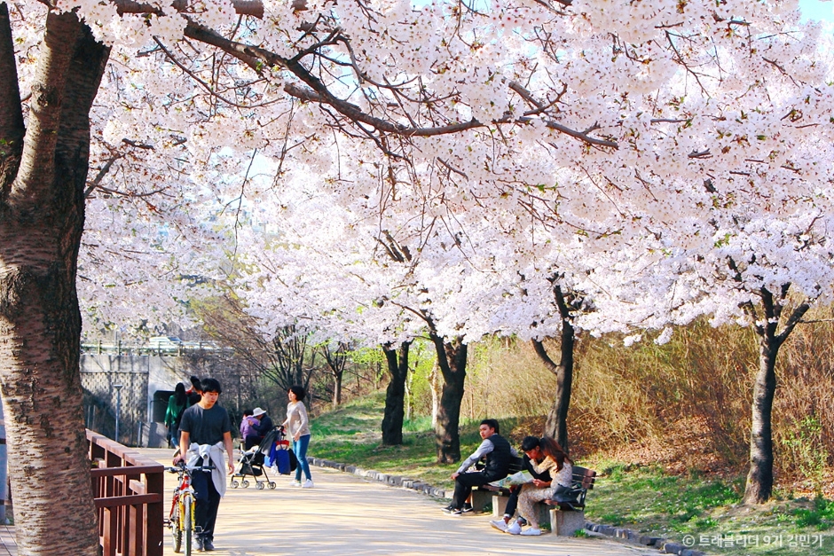 서울숲 8