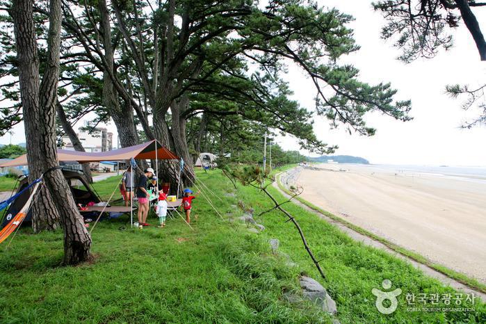 여름 바다 100 즐기기 여행 가볼만한곳