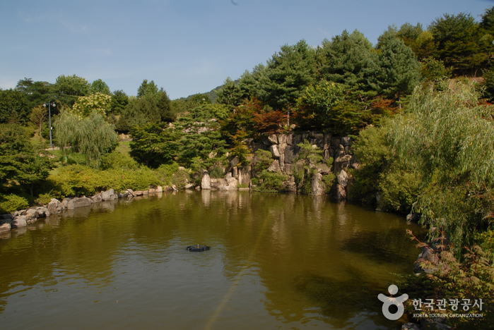 낯설지만 익숙한, 세종시의 숨겨진 힐링 포인트 여행 가볼만한곳