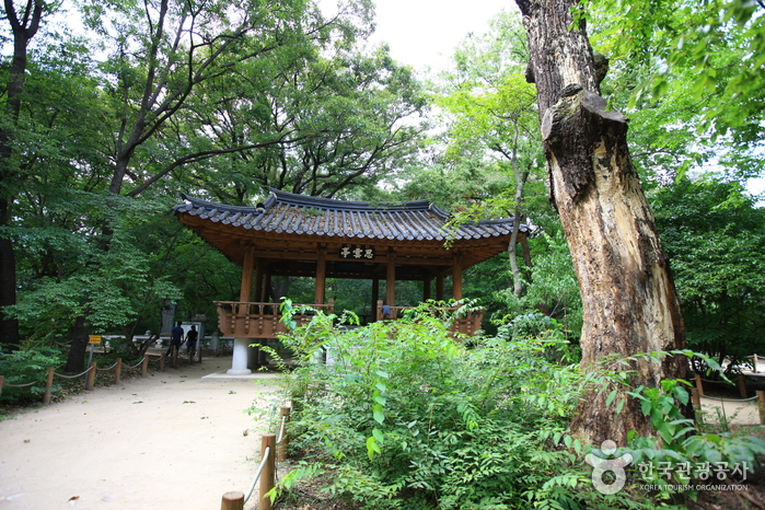 지리산의 깊은 산자락 속에 세상 시름을 묻다 여행 가볼만한곳