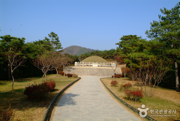 통일신라의 주역이 잠들어 있는 곳 여행 가볼만한곳
