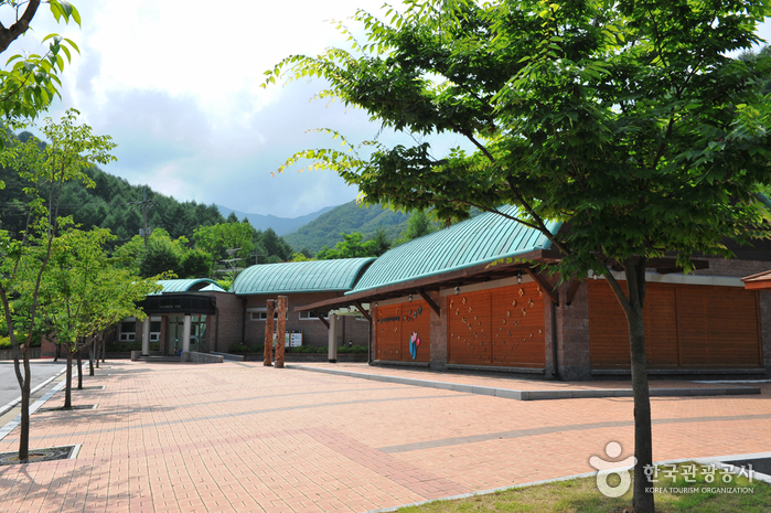 명지산생태전시관> 여행지 | 열린 관광 모두의 여행:대한민국 구석구석