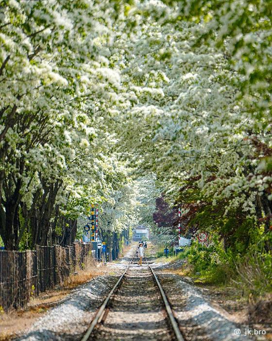 전주 팔복동 철길