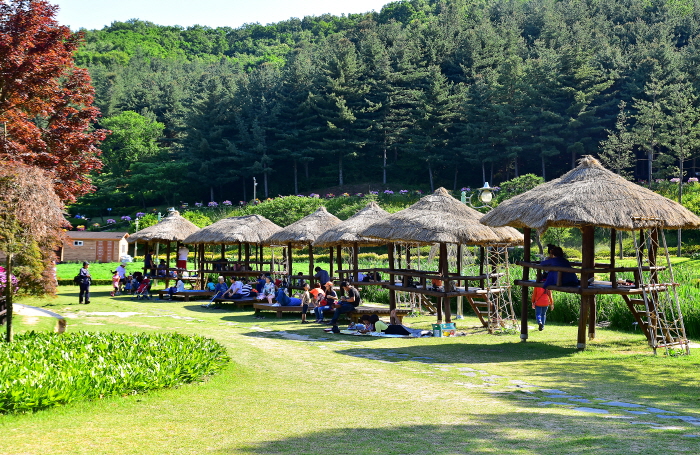 용인의 자연 속에서 천천히 걷기 여행 가볼만한곳