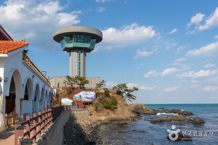 경주 양남 주상절리 전망대 2