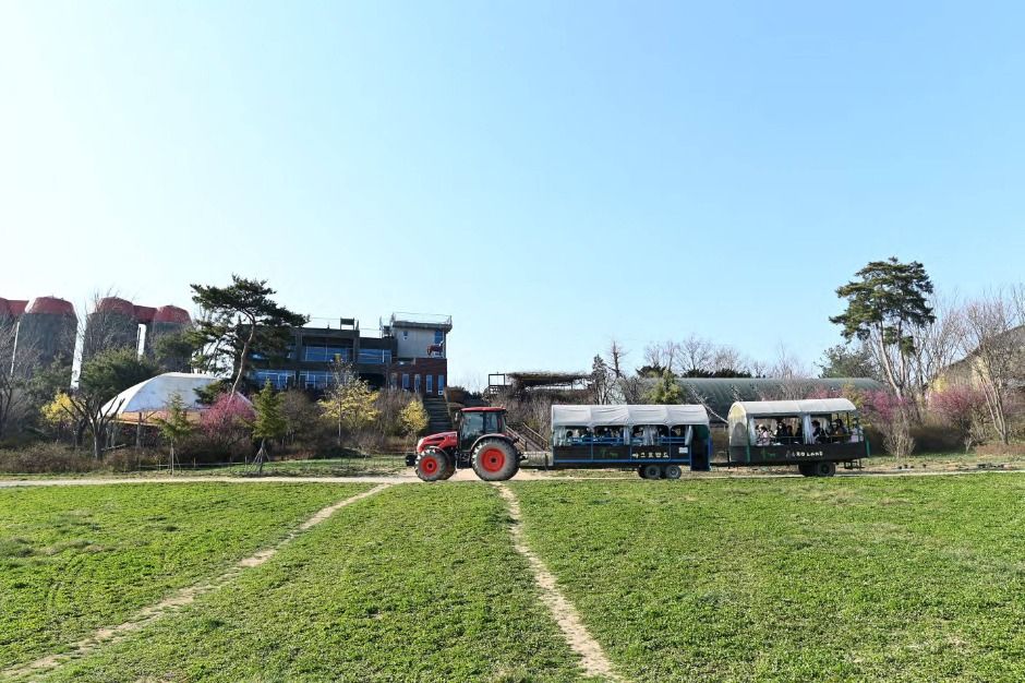 아그로랜드 태신목장 14
