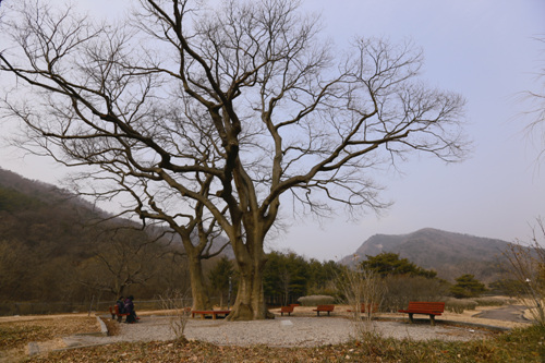 캠핑에 문화와 예술을 더 하다 여행 가볼만한곳