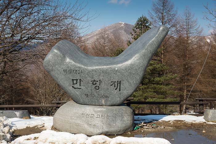 만항재 반려동물 동반 애견카페