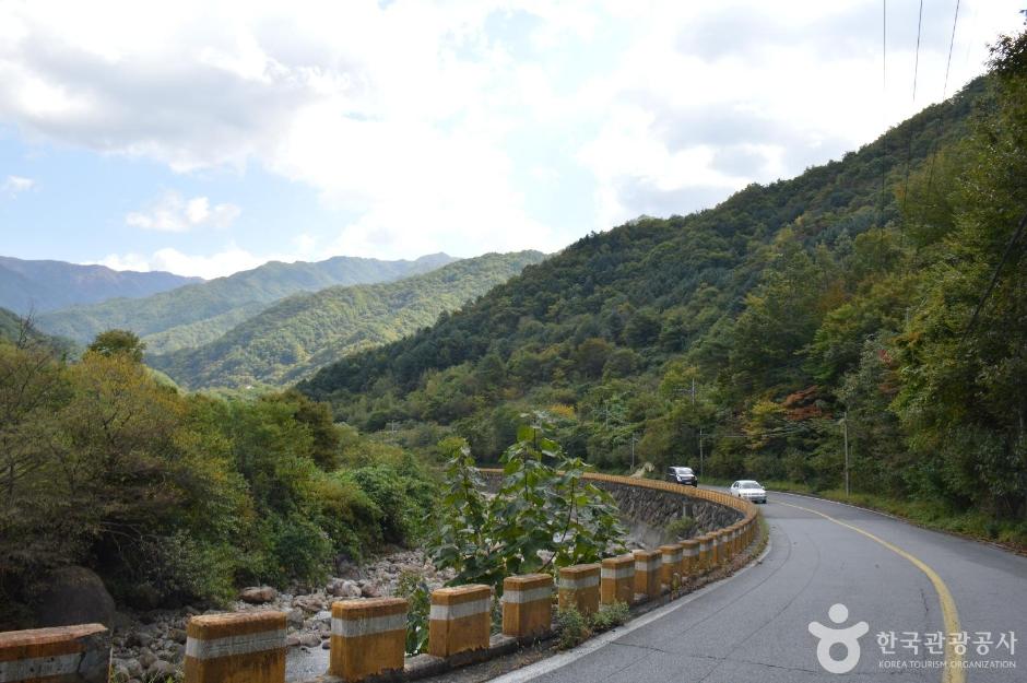 해발 800m 지리산 칠불사 가는 길