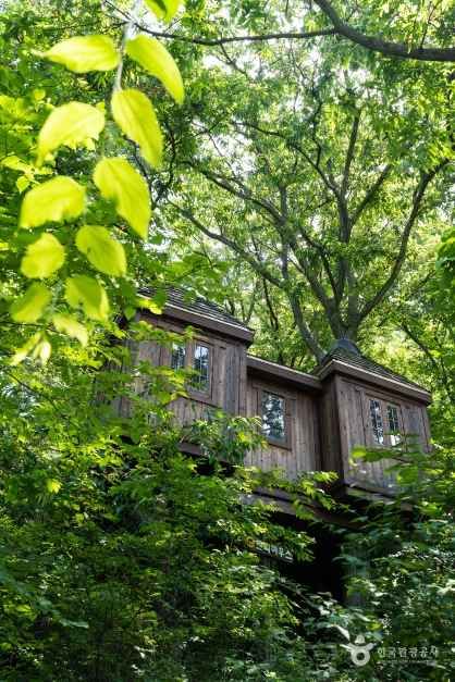 용인자연휴양림 6