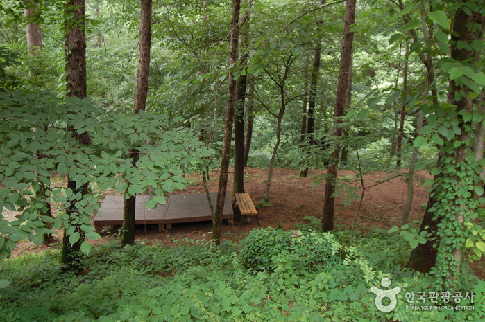 가리산(홍천) 등산로> 여행지 :대한민국 구석구석 가리산(홍천) 등산로> 여행지 :대한민국 구석구석 