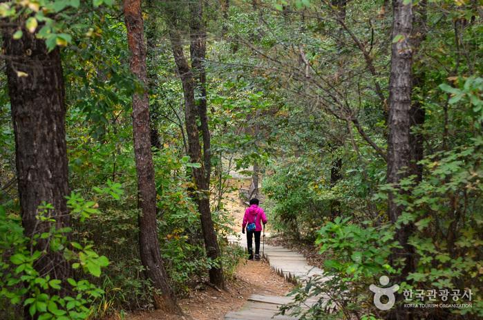 걷고 사유하며 예술적인 감성까지 느낄 수 있는 안양예술공원 산책로