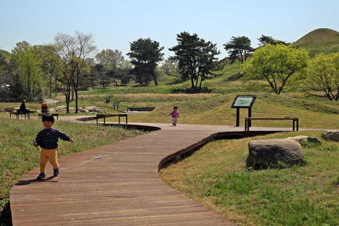 대구 도동 측백나무 숲 추천 여행정보 ::대한민국 구석구석 대구 도동 측백나무 숲 추천 여행정보 :대한민국 구석구석