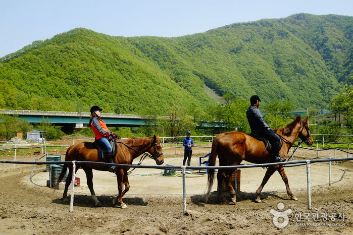 승마는 교감이라고 합니다. 말과 함께 느껴보세요. 여행 가볼만한곳