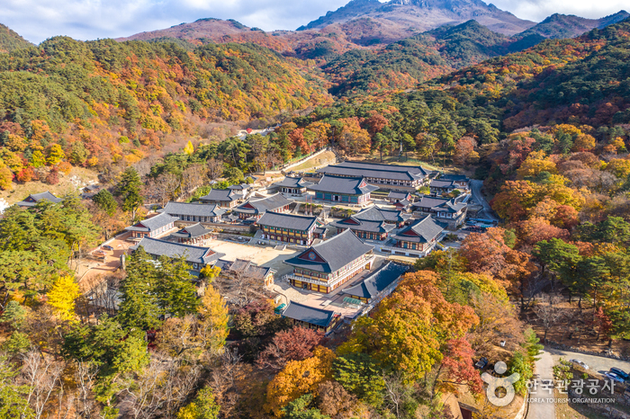 해인사(합천) 1
