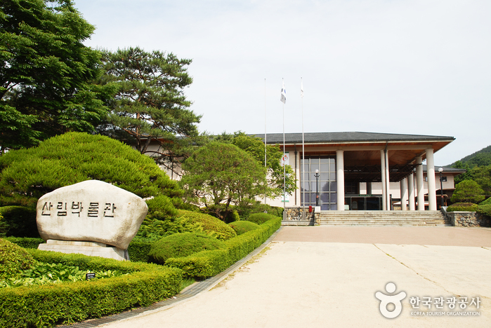 무성한 나무숲 길의 힐링 산책 여행 가볼만한곳
