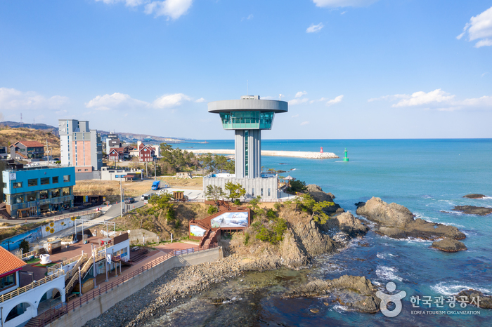 경주 양남 주상절리 전망대  4